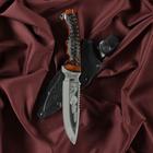 Нож кавказский, туристический "Викинг" с ножнами, сталь - 40х13, жженый орех, 14.5 см - Фото 7