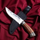 Нож кавказский, туристический "Скиф" с ножнами, гардой, сталь - 40х13, 14 см - Фото 4