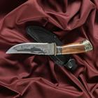 Нож кавказский, туристический "Скиф" с ножнами, гардой, сталь - 40х13, 14 см - Фото 5