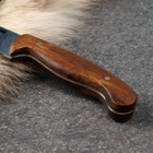 Нож кавказский, туристический "Печенег" с ножнами, сталь - 40х13, вощеный орех, 14 см - Фото 2