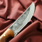 Нож кавказский, туристический "Печенег" с ножнами, сталь - 40х13, вощеный орех, 14 см - Фото 8