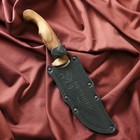 Нож кавказский, туристический "Печенег" с ножнами, сталь - 40х13, вощеный орех, 14 см - Фото 6