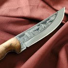 Нож кавказский, туристический "Печенег" с ножнами, сталь - 40х13, вощеный орех, 14 см - Фото 4