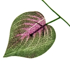 лиана 2,4 м лист с фиолетовым (фасовка 12шт) - Фото 2