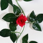 Лиана "Лист с розами" 1,9 м (цена за 1 шт. фасовка 5 шт) микс - Фото 2