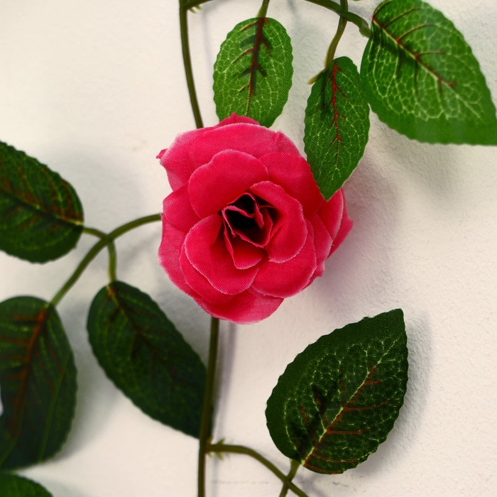 Лиана "Роза чайная" 1,9 м (цена за 1 шт, в упаковке 2 шт) микс - фото 1911980178
