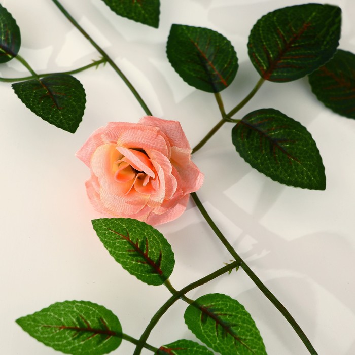 Лиана "Роза чайная" 1,9 м (цена за 1 шт, в упаковке 2 шт) микс - фото 1911980177