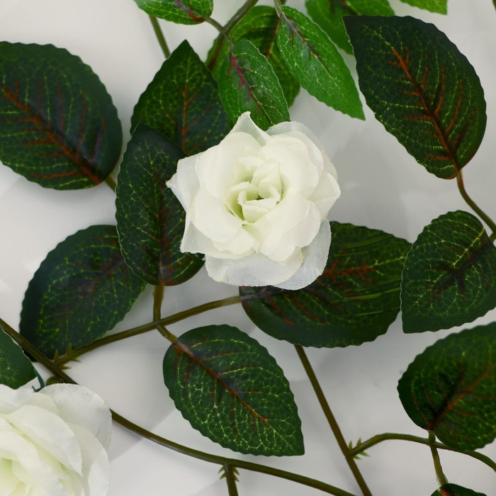 Лиана "Роза чайная" 1,9 м (цена за 1 шт, в упаковке 2 шт) микс - фото 1911980179