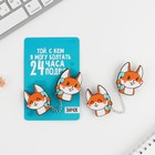 Значки на цепочке «Лисички», 8×12 см, набор 2 шт. - Фото 3