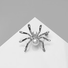 Брошь «Паук» жемчужинка, цвет белый в серебре - фото 10939390
