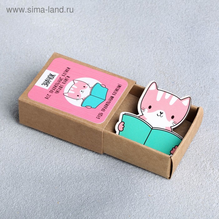 Значок в коробочке «Правильный котик», 5 × 4 см - Фото 1
