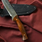 Нож кавказский, туристический "Варан" с ножнами, сталь - 40х13, вощеный орех, 14.5 см - Фото 7