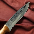 Нож кавказский, туристический "Варан" с ножнами, сталь - 40х13, вощеный орех, 14.5 см - Фото 2
