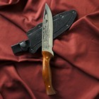 Нож кавказский, туристический "Варан" с ножнами, сталь - 40х13, вощеный орех, 14.5 см - Фото 5