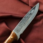 Нож кавказский, туристический "Варан" с ножнами, сталь - 40х13, вощеный орех, 14.5 см - Фото 6