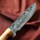Нож кавказский, туристический "Викинг" с ножнами, сталь - 40х13, вощеный орех, 14.5 см - Фото 7