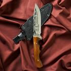 Нож кавказский, туристический "Викинг" с ножнами, сталь - 40х13, вощеный орех, 14.5 см - Фото 8