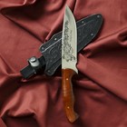 Нож кавказский, туристический "Зодиак" с ножнами, сталь - 40х13, вощеный орех, 14.5 см - фото 4792191