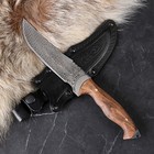 Нож кавказский, туристический "Скиф" с ножнами, сталь - 40х13, вощеный орех, 14 см - фото 318285350
