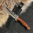 Нож кавказский, туристический "Скиф" с ножнами, сталь - 40х13, вощеный орех, 14 см - Фото 3