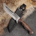 Нож кавказский, туристический "Скиф" с ножнами, сталь - 40х13, вощеный орех, 14 см - Фото 9