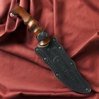 Нож кавказский, туристический "Скиф" с ножнами, сталь - 40х13, вощеный орех, 14 см - Фото 4
