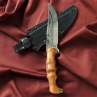 Нож кавказский, туристический "Скиф" с ножнами, сталь - 40х13, вощеный орех, 14 см - Фото 5