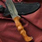 Нож кавказский, туристический "Скиф" с ножнами, сталь - 40х13, вощеный орех, 14 см - Фото 7