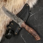 Нож кавказский, туристический "Скорпион" с ножнами, сталь - 40х13, вощеный орех, 14 см - фото 318285358
