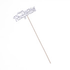 Топперы, серебряный глиттер, со шпажкой, "С днем рождения" 13х5,4 см 4777460