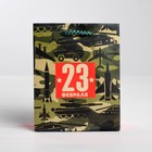 Пакет подарочный ламинированный вертикальный, упаковка, «С 23 февраля!», ML 23 х 27 х 11,5 см - Фото 2