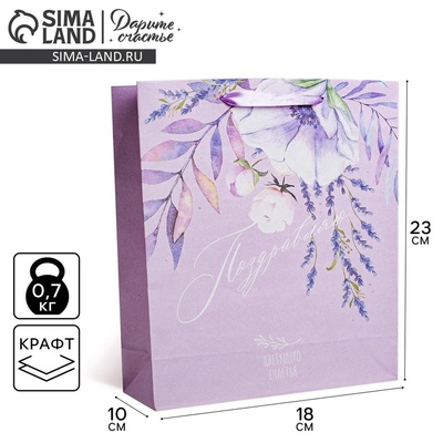 Пакет подарочный крафтовый, упаковка, «Поздравляю», MS 18×23×10 см