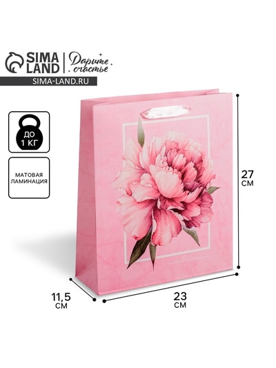 Пакет подарочный ламинированный, упаковка, «Пион», ML 23×27×11.5 см
