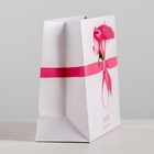 Пакет подарочный ламинированный горизонтальный, упаковка, «Самой лучшей, 8 марта», MS 23 х 18 х 10 см - Фото 2