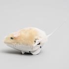 Мышь заводная меховая малая, 8,5 см, бежевая - фото 6271102