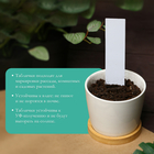 Бирки садовые, для маркировки растений, 10 см, набор 20 шт., маркер, пластик, белые, Greengo - Фото 3