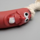 Игрушка "Сосиска на веревке" для собак, 14 см, микс - фото 43102248