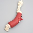 Игрушка "Сосиска на веревке" для собак, 14 см, микс - фото 43102249