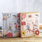 Фотоальбом на 200 фото 13х18 см "Велосипед и птица" в коробке, с зол.об МИКС 30х23,5х5,5 см   462883 - Фото 7