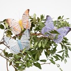 Бабочка для декора и флористики, на прищепке, пластиковая, микс, 1 шт., 7,5 х 5 х 1 см - Фото 2