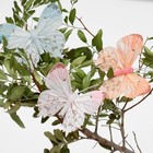 Бабочка для декора и флористики, на прищепке, пластиковая, микс, 1 шт., 7,5 х 7 х 1 см - Фото 2