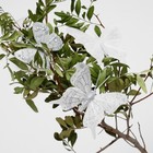 Бабочка для декора и флористики, на прищепке, пластиковая, белый, микс, 1 шт., 4 см и 8 см - фото 8941297