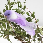 Птичка для декора и флористики, на прищепке МИКС, набор 3 шт., 13?4?4 см (комплект 3 шт) - фото 59316818