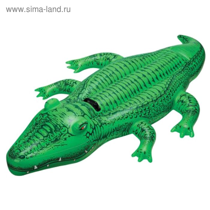 Игрушка для плавания «Крокодил», 168 х 86 см, от 3 лет, 58546NP INTEX - Фото 1