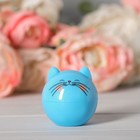 Блеск детский для губ "Party cat", голубой котик, аромат ваниль 12 грамм - Фото 3