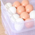 Контейнер для хранения яиц, 31,5×22×17,5 см, в 1 ярусе 24 ячейки, цвет МИКС - фото 4594630