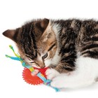 Игрушка Petstages Dental ОРКА "Колесико" для кошек - Фото 3