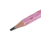 Карандаш чернографитный 3 мм ArtGraphix. Fun "Фламинго", НВ, трёхгранный, пластиковый корпус - Фото 2