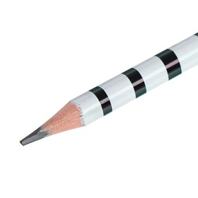 

Карандаш чернографитный 3 мм ArtGraphix.Fun «Енот», НВ, пластиковый корпус