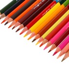 Карандаши цветные 36 цветов 18 штук Twincolor Happy, МИКС - фото 6272113